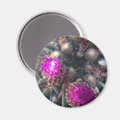 Aimant Fleur de cactus (Recto/Verso)