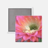 Aimant Fleur de cactus rose dans le désert (Recto/Verso)