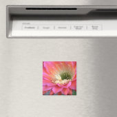 Aimant Fleur de cactus rose dans le désert (In Situ (Lave-vaisselle))