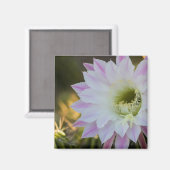 Aimant Fleur de cactus violet et blanc (Recto/Verso)