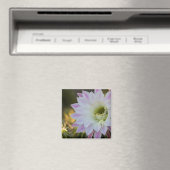 Aimant Fleur de cactus violet et blanc (In Situ (Lave-vaisselle))