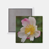 Aimant Fleur de Camélia (Recto/Verso)