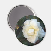 Aimant fleur de camélia blanche (Recto/Verso)