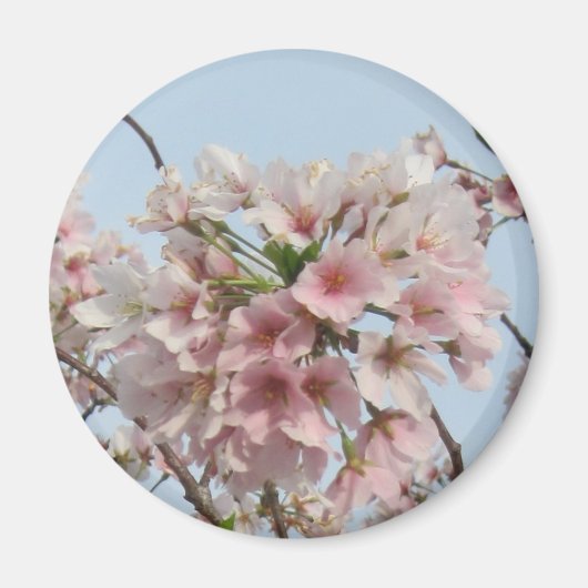Aimant Fleur de cerise (Devant)