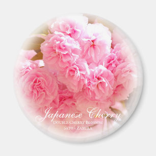 Aimant Fleur de cerise double : Sato-zakura