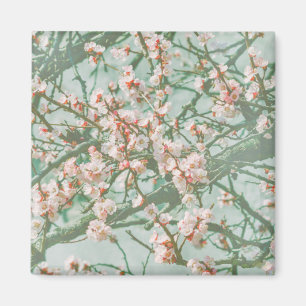 Aimant Fleur de cerisiers