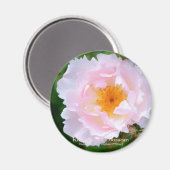 Aimant Fleur de chair de rosa [Aimant rond] (Recto/Verso)