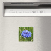 Aimant Fleur de Cornouailles bleu unique en vert anglais  (In Situ (Lave-vaisselle))