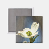Aimant Fleur de Dogwood Blanc (Recto/Verso)