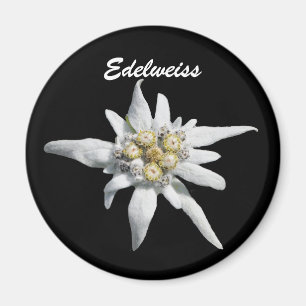 Aimant Fleur de fleur d'edelweiss