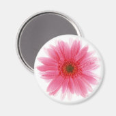 Aimant Fleur de Gerbera rose profonde (Recto/Verso)