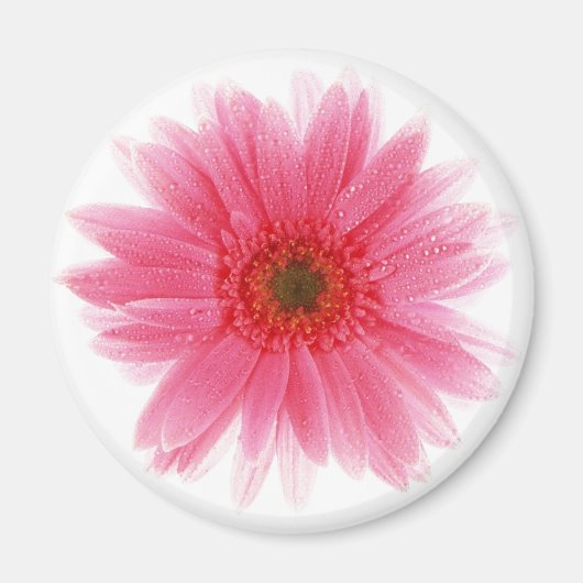 Aimant Fleur de Gerbera rose profonde (Devant)