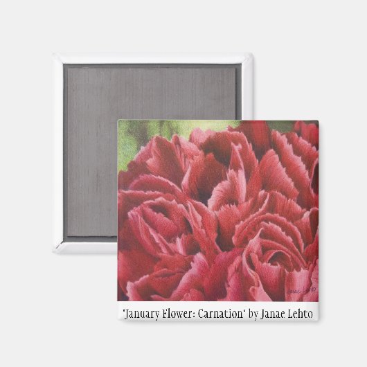 Aimant "Fleur de janvier : Carnation" (Recto/Verso)