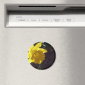 Aimant fleur de jonquille jaune au soleil (In Situ (Lave-vaisselle))