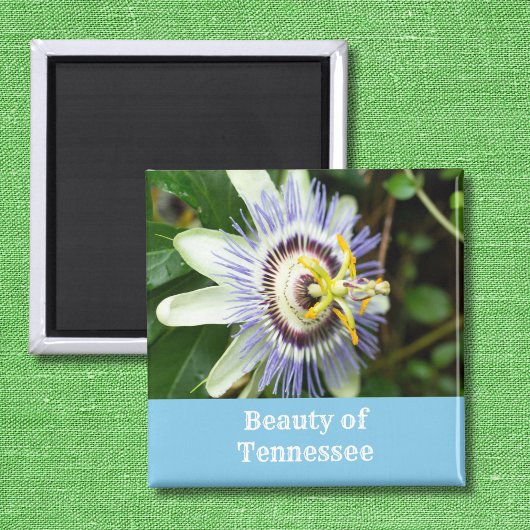 Aimant Fleur de la passion Fleur de l'État du Tennessee