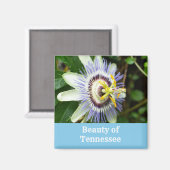 Aimant Fleur de la passion Fleur de l'État du Tennessee (Recto/Verso)
