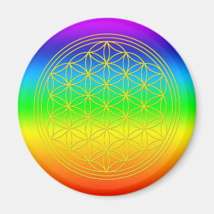 Aimant Fleur de la vie chakra 2