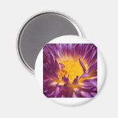 Aimant fleur de lotus (Recto/Verso)