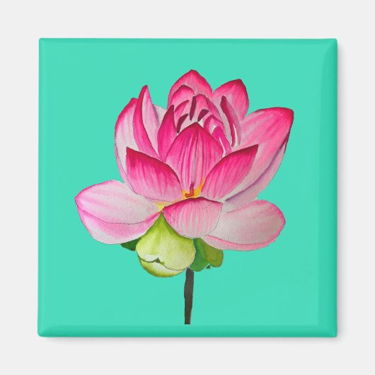 Aimant Fleur de lotus d'art fin en aquarelle rose (Devant)