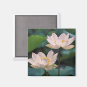 Aimant Fleur de Lotus en fleurs, Chine (Recto/Verso)