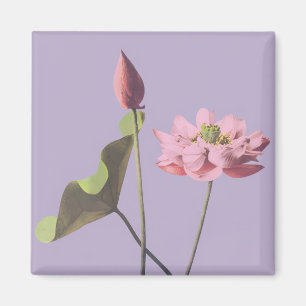 Aimant Fleur de Lotus par Ogawa Kazumasa