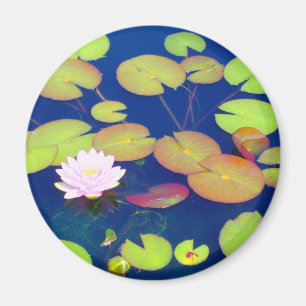 Aimant Fleur de Lotus rose flottant avec des protections