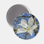 Aimant Fleur de Magnolia blanche dans l'arbre. (Recto/Verso)