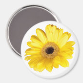 Aimant Fleur de marguerite jaune - photo de fond (Recto/Verso)