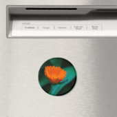 Aimant Fleur de marguerite orange (In Situ (Lave-vaisselle))