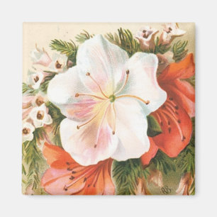 Aimant Fleur de Noël joyeuse