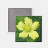 Aimant Fleur de pastèque (Recto/Verso)