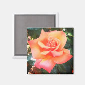 Aimant Fleur de pêche (Recto/Verso)