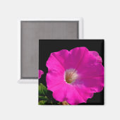 Aimant fleur de pétunia rose (Recto/Verso)