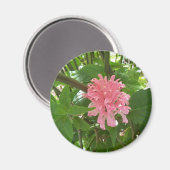 Aimant Fleur de plume brésilienne (Recto/Verso)