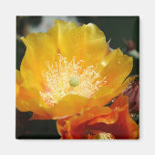 Aimant Fleur de poires (Devant)