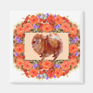 Aimant Fleur de Poméranie