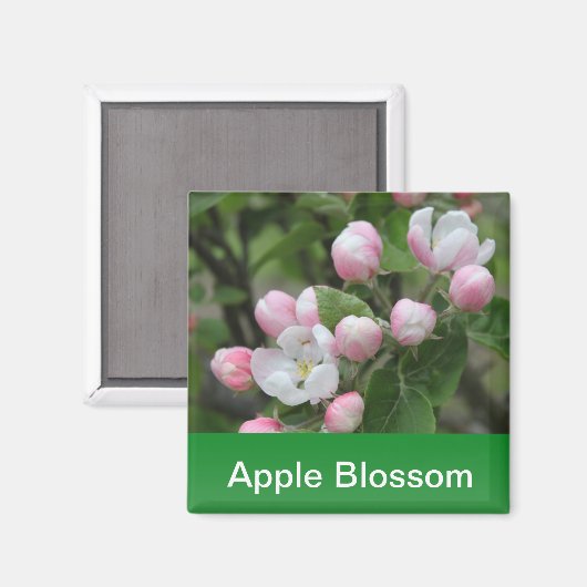 Aimant fleur de pomme et feuilles verts (Recto/Verso)