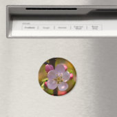 Aimant Fleur de pommier au printemps (In Situ (Lave-vaisselle))
