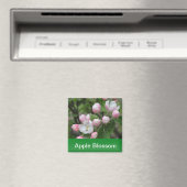 Aimant fleur de pommier et feuilles vertes (In Situ (Lave-vaisselle))