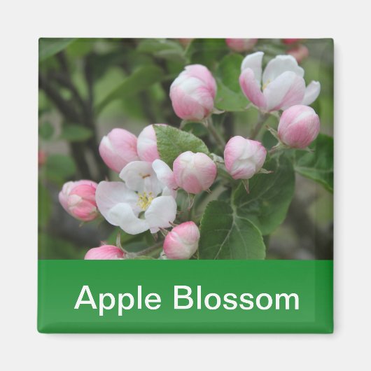 Aimant fleur de pommier et feuilles vertes (Devant)