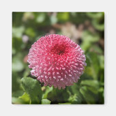 Aimant Fleur de printemps (Devant)