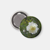 Aimant Fleur de rose blanche (Recto/Verso)