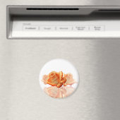 Aimant Fleur de Rose corail avec Partition (In Situ (Lave-vaisselle))