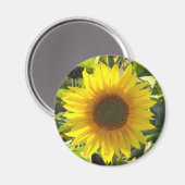 Aimant Fleur de soleil (Recto/Verso)