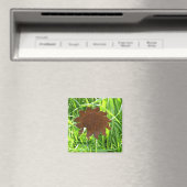 Aimant - Fleur de soleil en fer (In Situ (Lave-vaisselle))