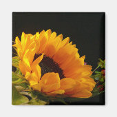 Aimant Fleur de soleil jaune (Devant)