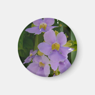 Aimant Fleur de Vigne Céleste Fleur Tropicale Violette