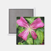 Aimant Fleur de vigne pourpre (Recto/Verso)