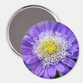 Aimant fleur de violet bleu (Recto/Verso)