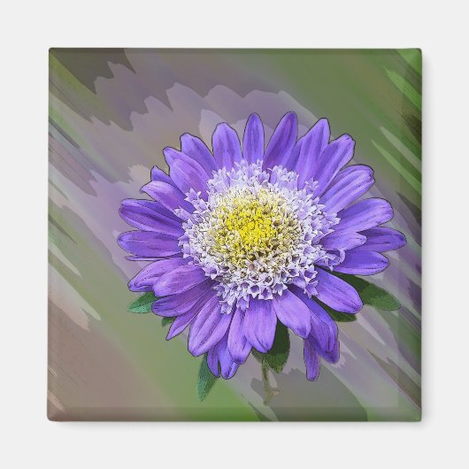 Aimant fleur de violet bleu (Devant)